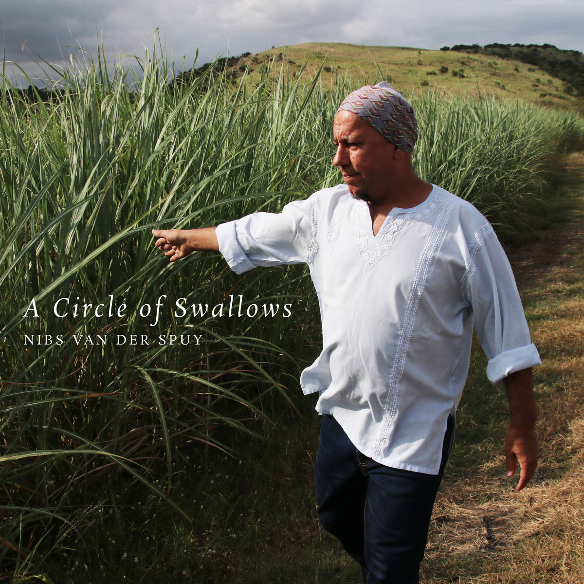 A Circle of Swallows